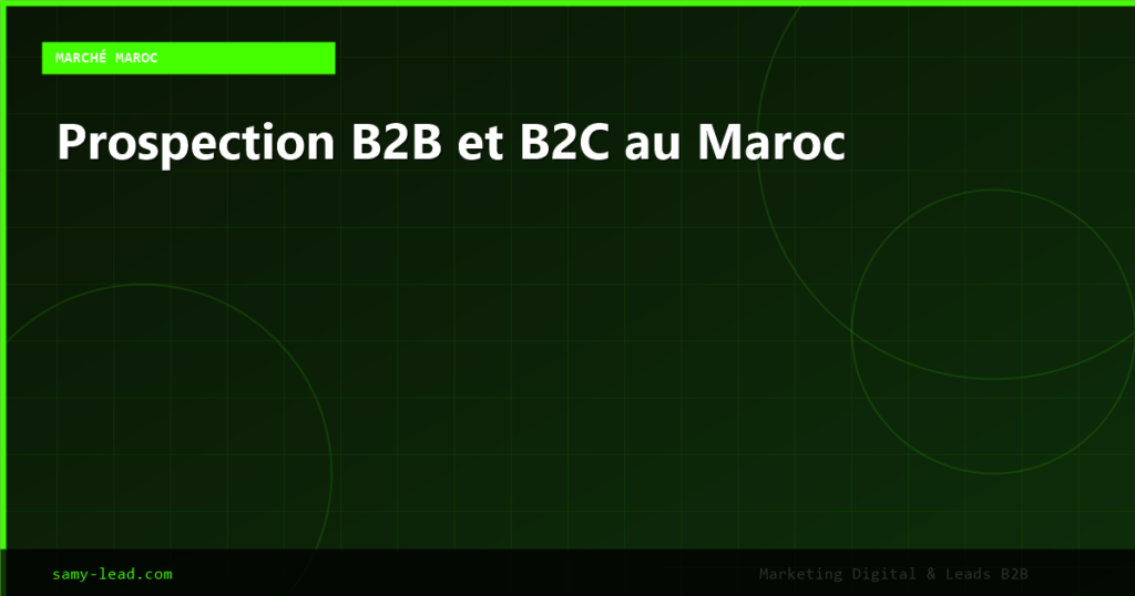 Prospection B2B et B2C au Maroc et en France - Strategie IA et Fichiers Qualifies 2026 10 blog 2669